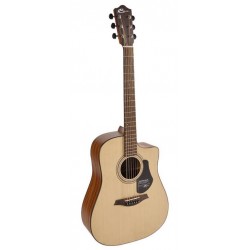 Mayson Elementary Series Dreadnought E/A , with gigbag
