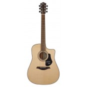 Mayson Elementary Series Dreadnought E/A , with gigbag