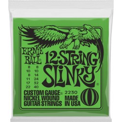 Ernie Ball 12 String Slinky