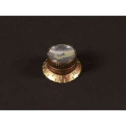 Boston Hat Knob LP/SG gold with silver cap, relic, tone, metric size