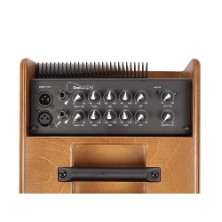 Acus One For Strings 5TC Wood Tilt-Back / 2 Channels and aux in