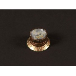 Boston Hat Knob LP/SG, Gold with Silver Cap, Relic, Volume