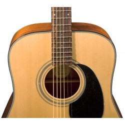 Bristol gitaar folk BD16